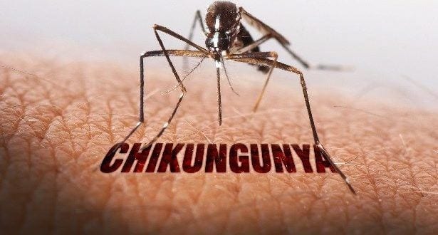 MG - Confirmada sexta morte por Chikungunya em Minas Gerais