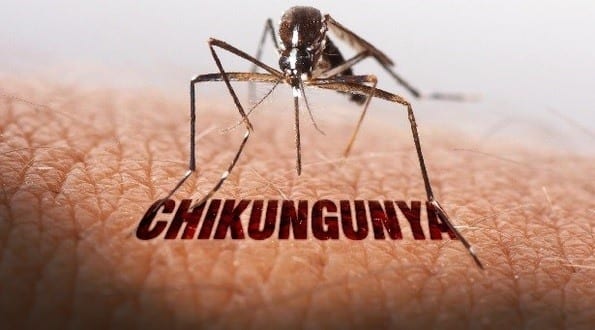 MG - Confirmada sexta morte por Chikungunya em Minas Gerais