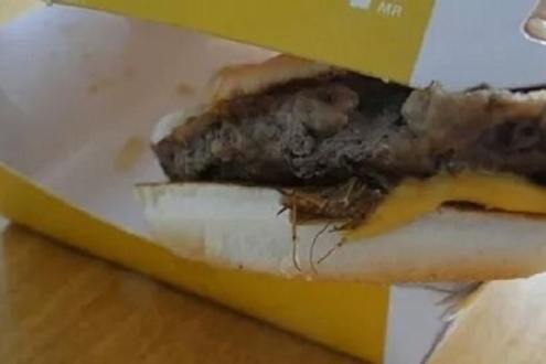 Cliente achou inseto em um dos sanduíches que ele comprou