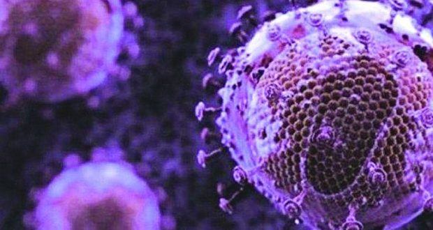 Proteína do estudo da USP apresenta alta toxicidade e conseguiu matar o HIV sem afetar células saudáveis