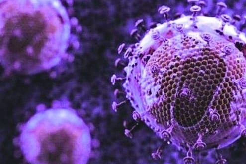 Proteína do estudo da USP apresenta alta toxicidade e conseguiu matar o HIV sem afetar células saudáveis