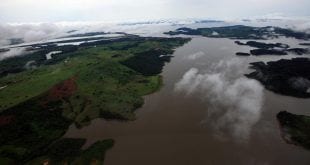Petição em defesa da Amazônia tem mais de 600 mil assinaturas