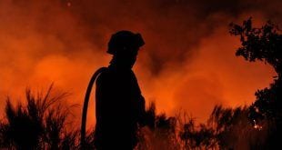 Norte de Minas - Cemig alerta para aumento de queimadas nesta época do ano
