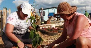 Montes Claros - Mutirão comunitário transformará o bairro de Nova Morada neste final de semana