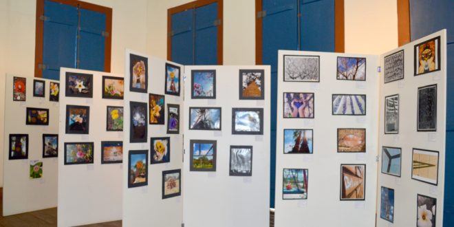 Cultura Moc - Mostra no Museu revela o olhar fotográfico de alunos da educação básica a partir de formas