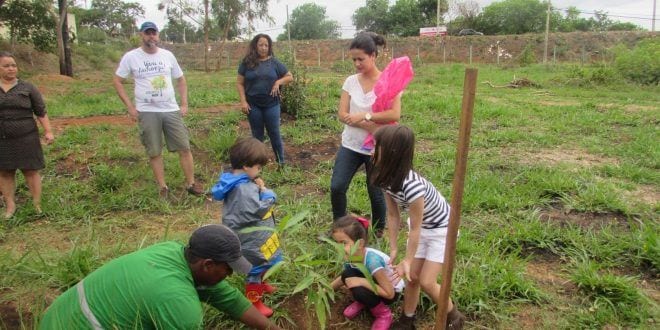 Montes Claros - Parque Milton Prates recebe mudas de árvores nativas e frutíferas