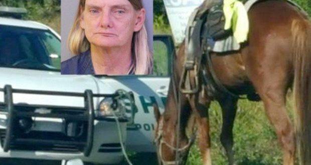 Mulher é presa por andar a cavalo bêbada