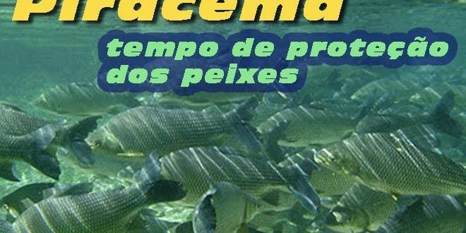 MG - Pesca está restrita em rios de Minas Gerais com início da Piracema