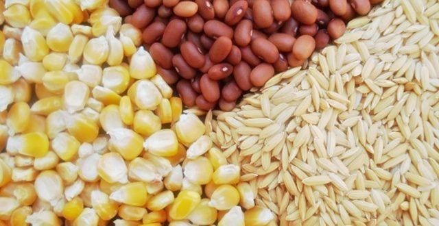 Norte de Minas - Governo de Minas distribui sementes em Januária e região para gerar mais alimento e trabalho no campo
