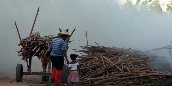 Montes Claros - Prefeitura irá promover evento de combate ao trabalho infantil