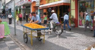 Montes Claros - Pequi é esperança de alta nas vendas