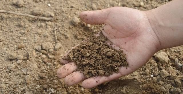 Norte de Minas - Mirabela recebe audiência pública para debater regularização de terras rurais