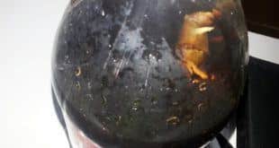 MG - Coca-Cola deve indenizar mineira que encontrou 'rato' em refrigerante