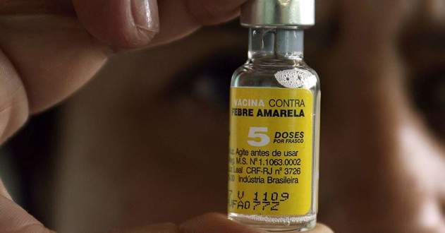 Risco de registros urbanos de febre amarela é pequeno, dizem especialistas
