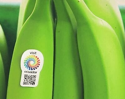 Norte de Minas - AMAMS entra na luta para barrar entrada de banana importada do Equador