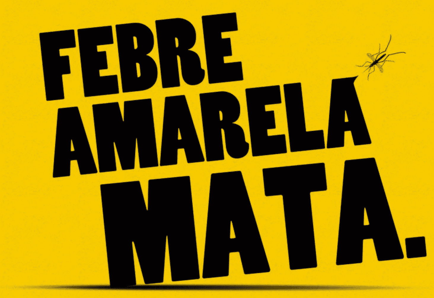 MG - Sobe para 36 as mortes por febre amarela em Minas Gerais