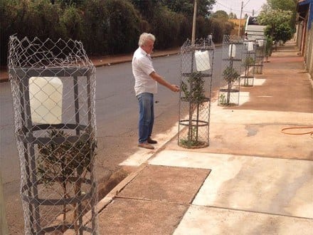 Montes Claros - População orientada a plantar árvores que não destroem estruturas nem atingem redes