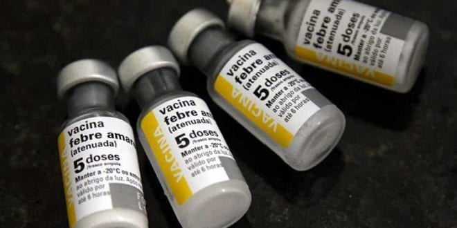 Paraguai exige vacinação contra febre amarela para 4 Estados do Brasil