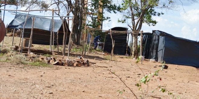 Imagem Ilustrativa/ Foto:João Figueiredo