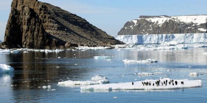 Gelo marinho da Antártica encolhe pelo segundo ano consecutivo