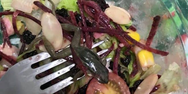 Senhora encontra uma perereca ainda viva em salada de pote de supermercado