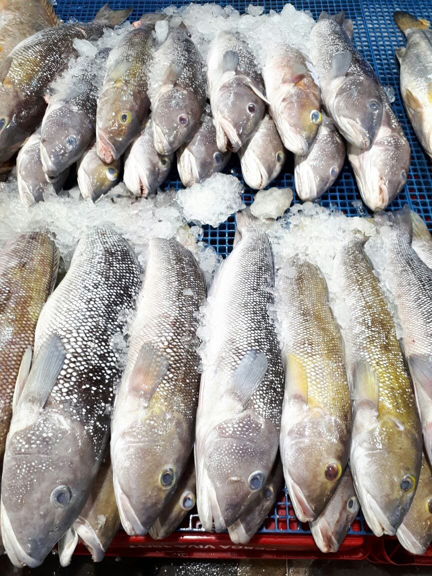 Saúde - Cuidados na hora de comprar peixe na Semana Santa