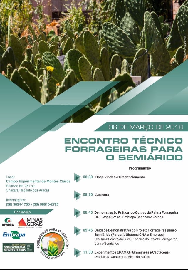 Montes Claros - A cidade de Montes Claros recebe encontro técnico sobre forragens
