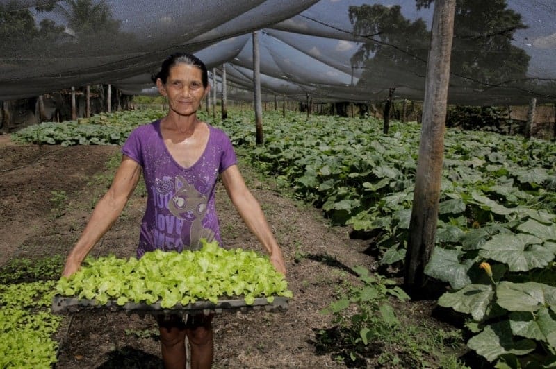 OPINIÃO - Os valores da mulher do campo