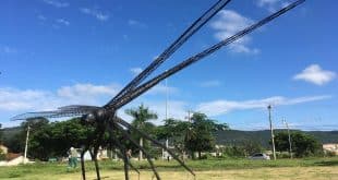 A praça Doutor Pedro Santos, na Morada do Sol em Montes Claros, ganhou uma escultura gigante de uma libélula, feita de sucatas.