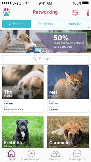 Aplicativo ajuda a encontrar pets que fugiram de casa