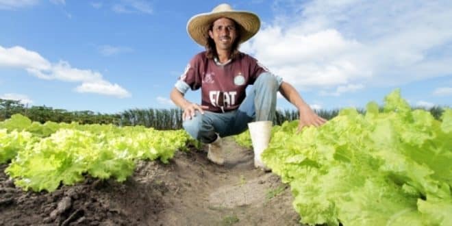 Anater lança chamada pública para serviços de Ater