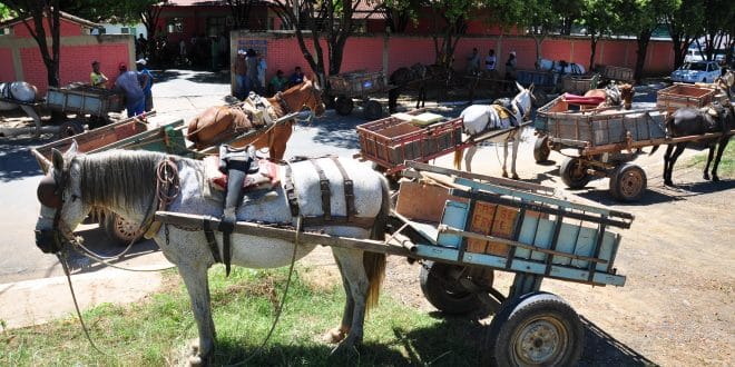 Prefeitura de Montes Claros realiza reunião com carroceiros para acabar com o descarte irregular de entulho