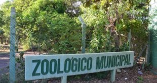 Estrutura do Zoológico Municipal de Montes Claros será usada para tratar animais resgatados do cativeiro
