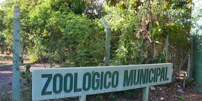 Estrutura do Zoológico Municipal de Montes Claros será usada para tratar animais resgatados do cativeiro