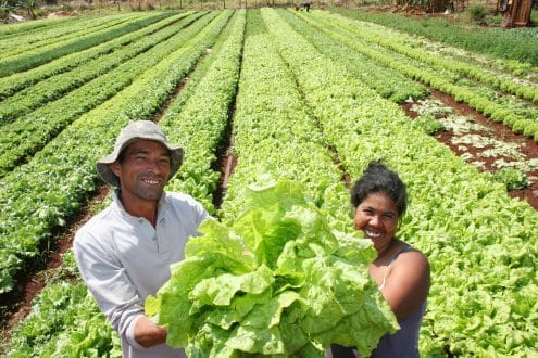 ANATER inicia ações do programa "Mais Gestão"