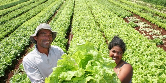 ANATER inicia ações do programa "Mais Gestão"