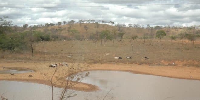 Emater sugere continuidade do Estado de Emergência em Montes Claros