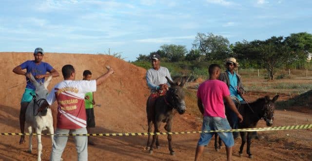 Corrida de Jegue movimenta cidade de Itacarambi
