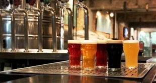 Aprenda como transformar paixão pela cerveja artesanal em negócio