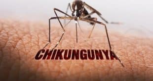 Estado de Minas Gerais registra quase seis mil casos de Chikungunya e mais de 17 mil de dengue no ano