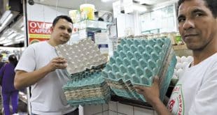 Em falta. Josimar Alves, 32, e Rogério Francisco, 45, vendedores do Mercado Central, na capital, mostram pentes de ovos vazios