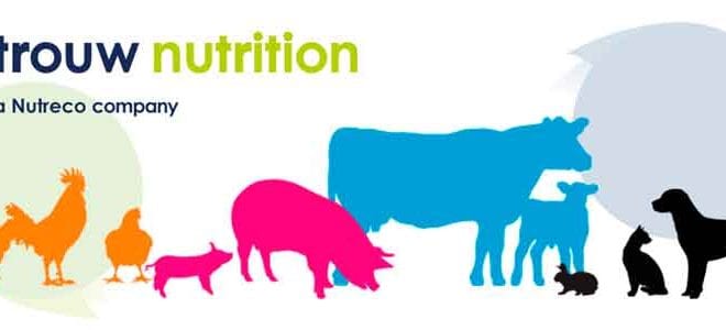 Trouw Nutrition, com a marca Bellman, destaca soluções em suplementação para períodos de seca, na Expô Janaúba