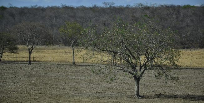 Montes Claros decreta estado de emergência devido à falta de chuvas