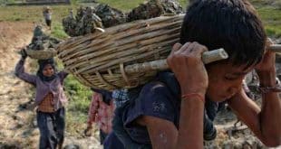 Trabalho Infantil: em 6 anos, 15.675 menores foram vítimas de acidentes de trabalho