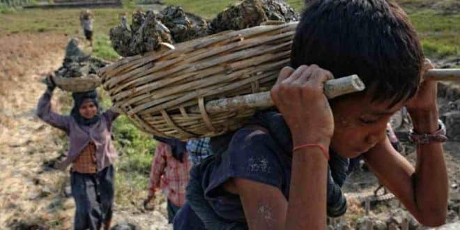 Trabalho Infantil: em 6 anos, 15.675 menores foram vítimas de acidentes de trabalho