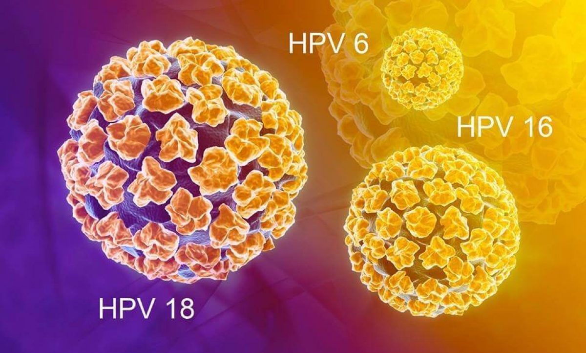 hpv virus a