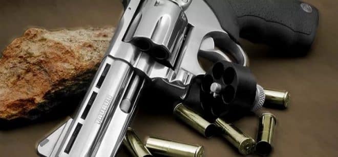 Resultado de imagem para Registro de armas de fogo na PolÃ­cia Federal quintuplica em dez anos