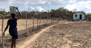 Agronegócio no Norte de Minas pena com 70% de rios secos