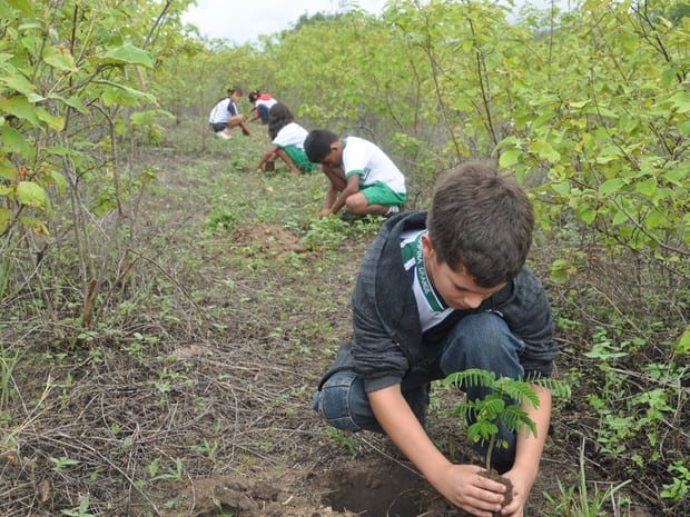 OPINIÃO - Crianças e educação no meio rural