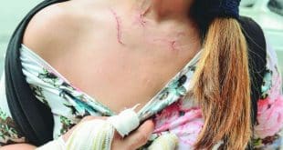 Violência. Apenas neste ano, Minas Gerais registrou 187 casos de feminicídio, segundo a Polícia Civil